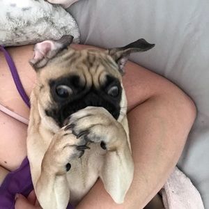 Meet your Posher, Shalenny